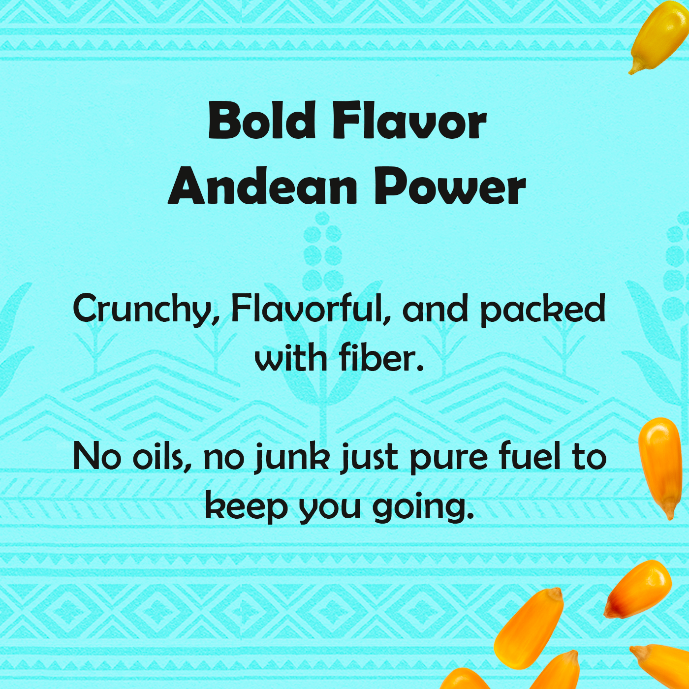 3 Pack Andean Corn Nuts - SEA SALT